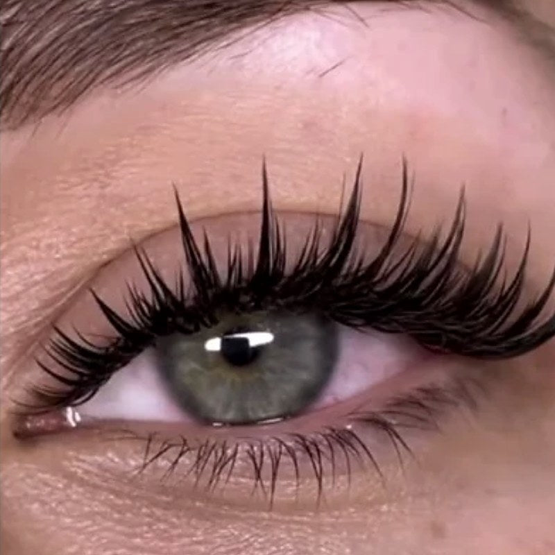 Extensiones de pestañas Wet Look
